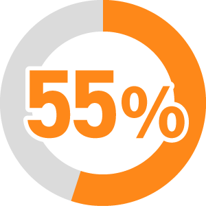 費用対効果不明 55%